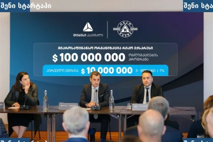 ბიზნეს შეხვედრა, პრეზენტაცია საქართველოში
