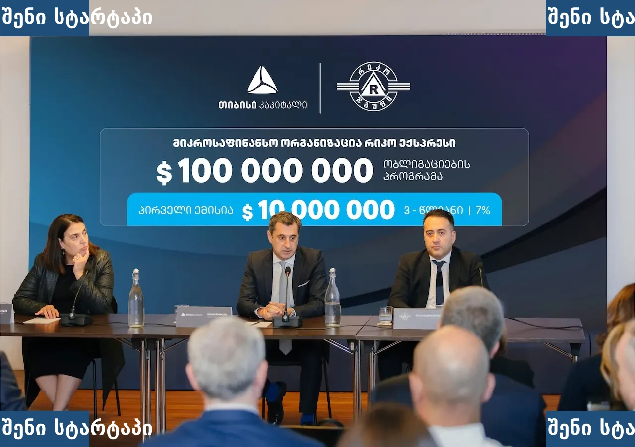 ბიზნეს შეხვედრა, პრეზენტაცია საქართველოში