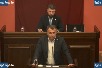პარლამენტის სხდომაზე გამოსვლა, საქართველო