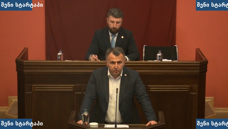 პარლამენტის სხდომაზე გამოსვლა, საქართველო