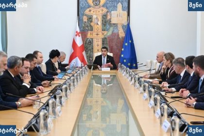 მთავრობის სხდომა, მონაწილეები და დროშები — საქართველო