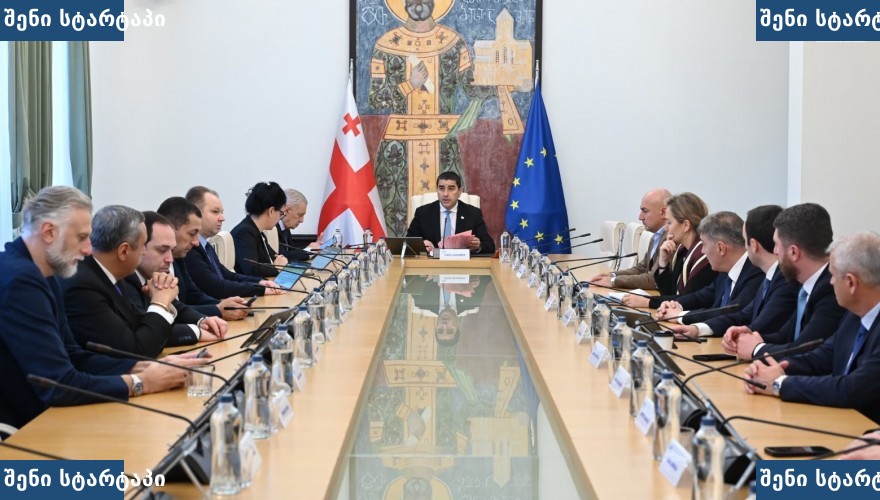 მთავრობის სხდომა, მონაწილეები და დროშები — საქართველო