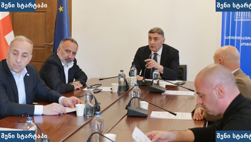 მოსახლეობის საკითხებზე შეხვედრა მთავრობის წარმომადგენლებთან, საქართველო