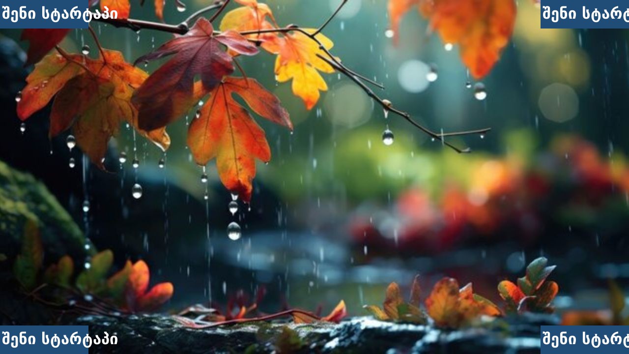 წვიმის წვეთები ფოთლებზე, ბუნება, საქართველო