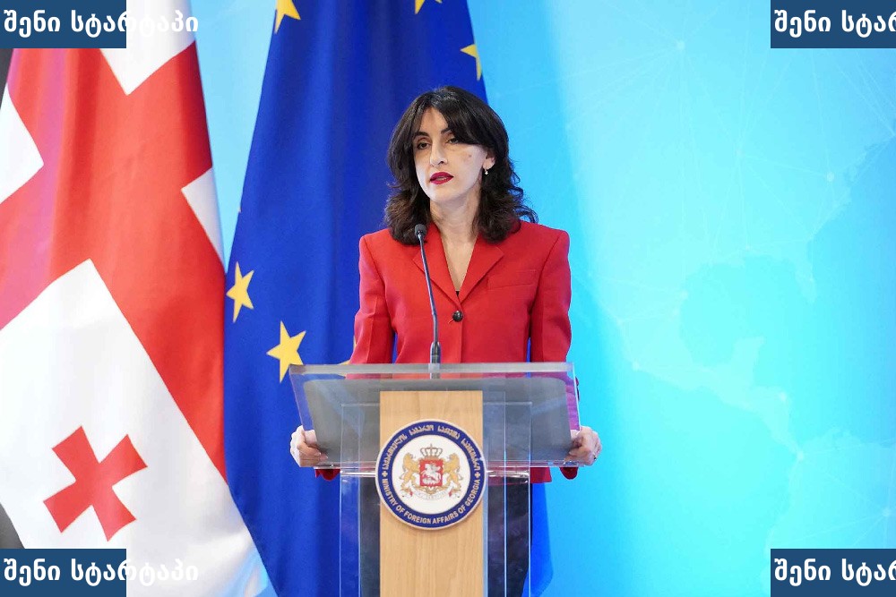 ქალი პრეზენტაციას ატარებს ევროკავშირის დროშის ფონზე, საქართველო