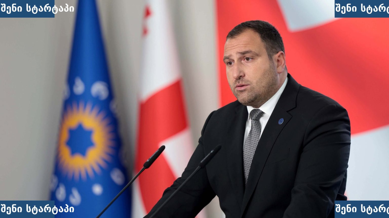 პოლიტიკოსი პრესკონფერენციაზე, საქართველო