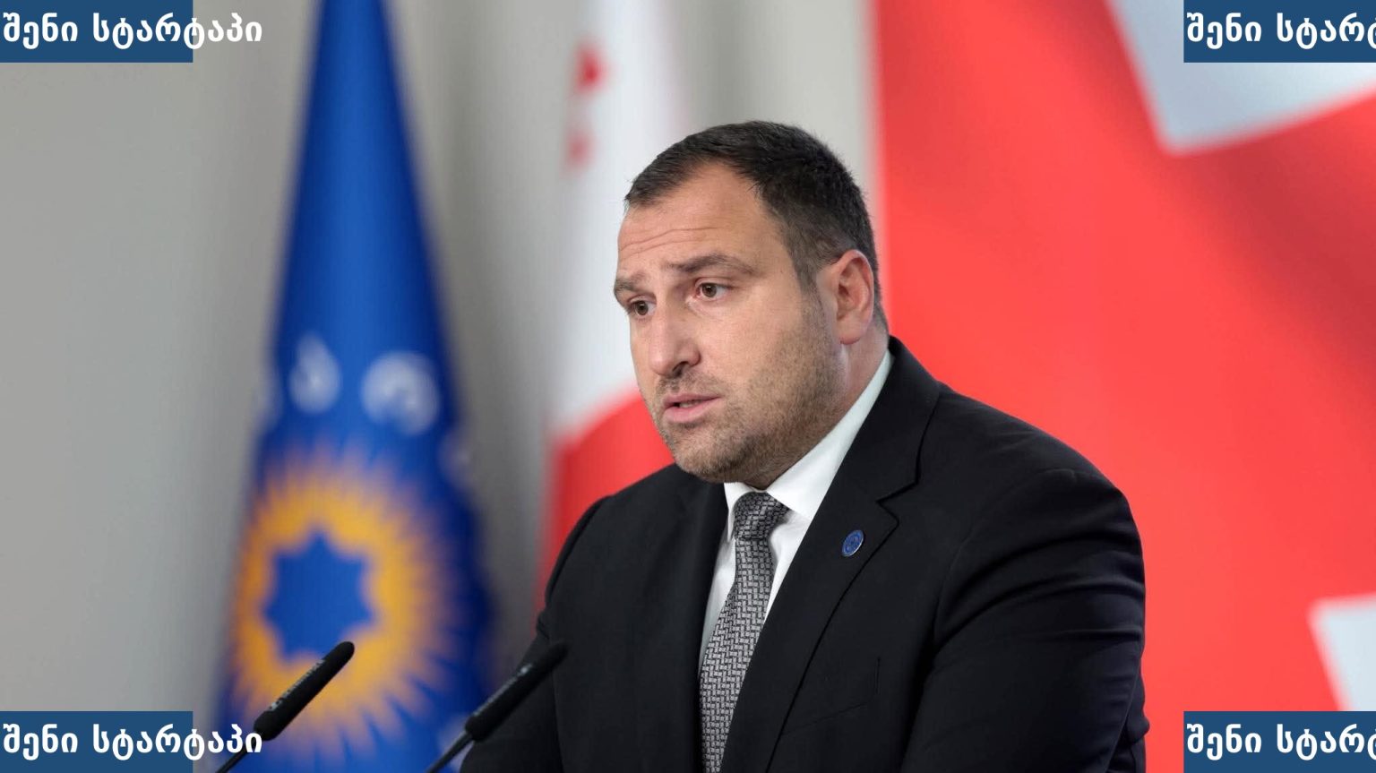 პოლიტიკოსი საუბრის დროს, საქართველო