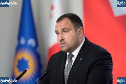 პოლიტიკოსი საუბრის დროს, საქართველო