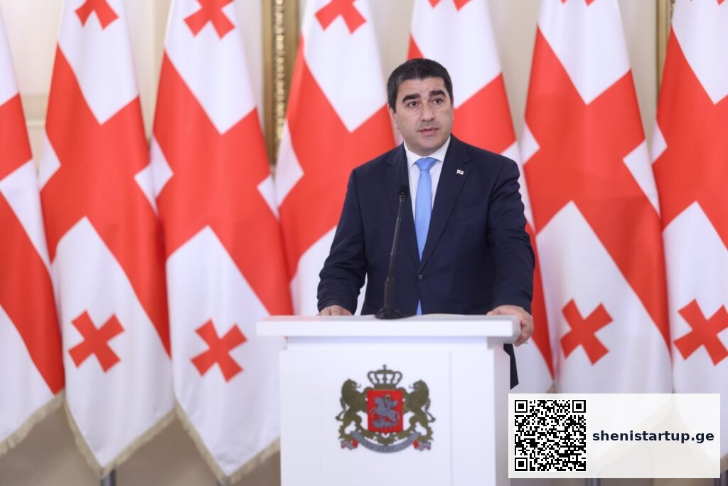 პოლიტიკოსი გამოსვლის დროს, ფონზე საქართველოს დროშები — საქართველო