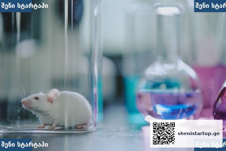CRISPR ბაზური რედაქტირება ჰანტინგტონის დაავადება — ლაბორატორიული კვლევა