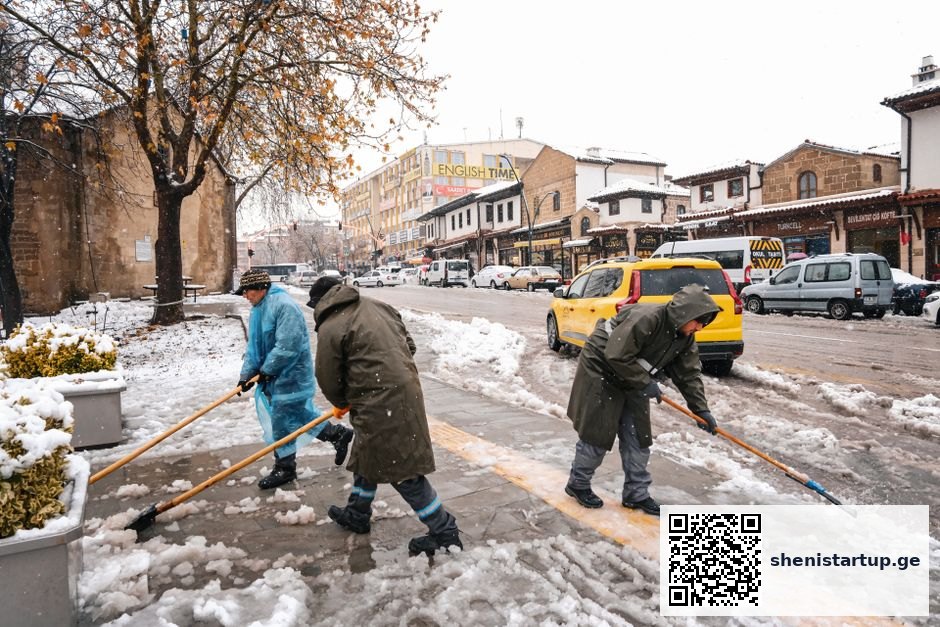 კუნთების ზრდა და ცილის წყარო — სპორტული კვების კვლევა