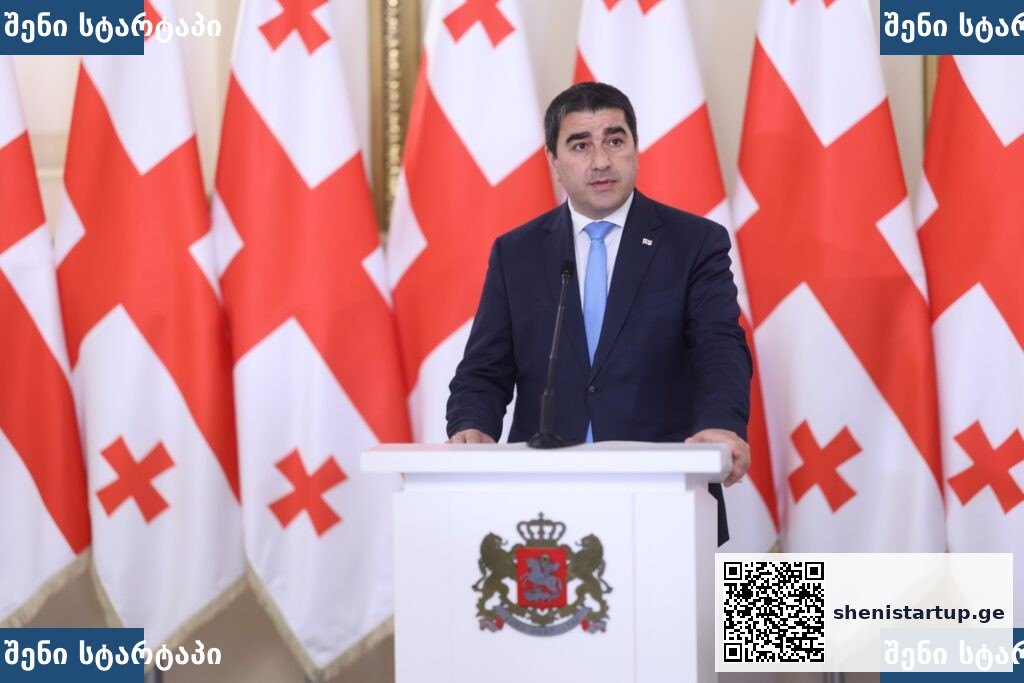მთავრობის წევრი პრეზენტაციის დროს, ფონზე საქართველოს დროშები — საქართველო