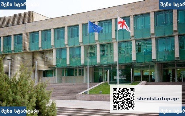 საქართველოს მთავრობის შენობა და დროშები, საქართველო