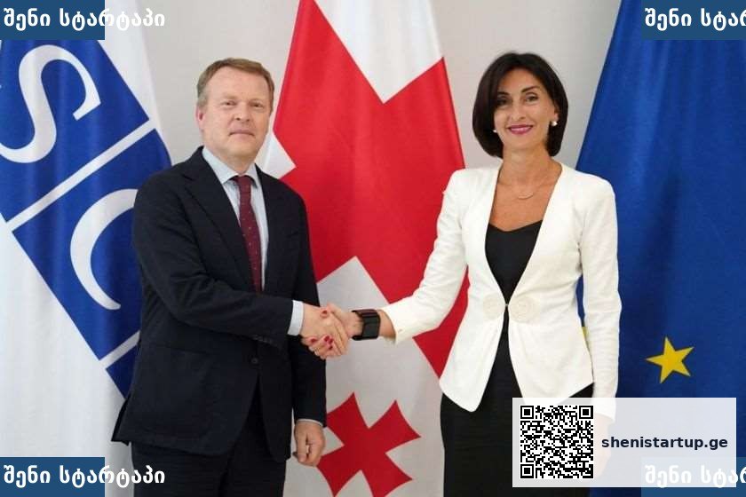 მაკა ბოჭორიშვილი ეროვნულ უმცირესობათა საკითხებში ეუთო-ს უმაღლეს კომისარს, კრისტოფ კამპს შეხვდა