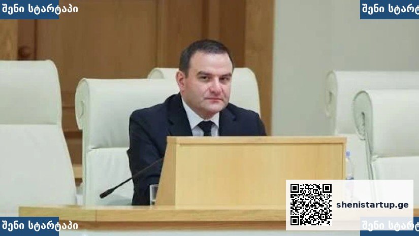 პოლიტიკოსი სხდომაზე, საქართველო